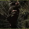 spider_man_3