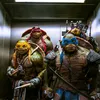 TEENAGE MUTANT NINJA TURTLES