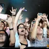 Konser Pitbull