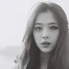 Sulli f(x)