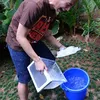 Daniel Mananta