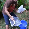 Daniel Mananta