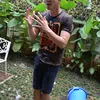 Daniel Mananta