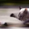 Foto-Foto Yang Diambil Tepat Waktu