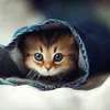 Foto-Foto Yang Diambil Tepat Waktu