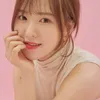 Idol K-Pop Cerdas