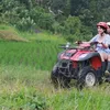 Citra Kirana