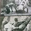 Manusia Dibesarkan Hewan
