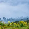 foto-foto indah Nepal luar biasa