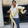 Artis punya kebun binatang