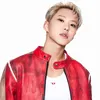 Kecocokan Cewek Cancer dan Hoshi SEVENTEEN