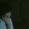 LADDALAND (2011)