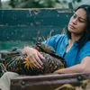 Perempuan Pembawa Sial
