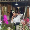 Aulia DA