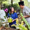 Aulia DA