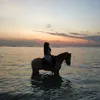 Fuji Liburan ke Gili