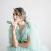 Nova Eliza kabar terbaru