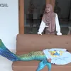 Ria Ricis Fajar Sad Boy Duyung Mermaid