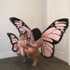 Kylie Stormi