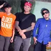 The Cash