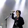 the cranberries