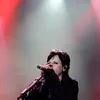 the cranberries