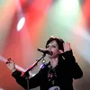 the cranberries