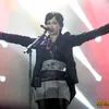 the cranberries