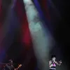 the cranberries