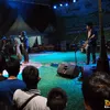 The Dance Company
