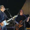 the lightning seeds