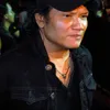 konser bjork