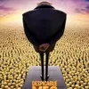Despicable Me 2