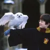 Daniel Radcliffe