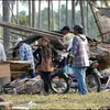 Tsunami Pangandaran