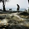 Tsunami Pangandaran