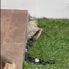 Kepala Ular di Rumah Fadly Faisal