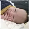 Bjorka