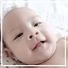 Bjorka