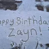 Zayn Malik