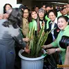 hari bumi 2009
