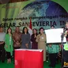 gelar sansevieria indonesia