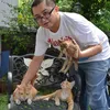 Kucing Herichan