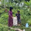 farel prayoga, farel ojo dibandingke, lagu ojo dibandingke