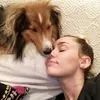 Weekly Hot Instagram