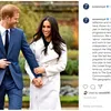 Weekly Hot Instagram