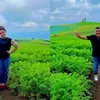 Krisdayanti Liburan Batu