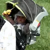 Bayi Liam Gallagher