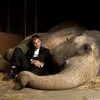 Water For Elephants