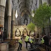 Royal Wedding